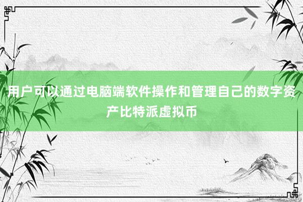 用户可以通过电脑端软件操作和管理自己的数字资产比特派虚拟币