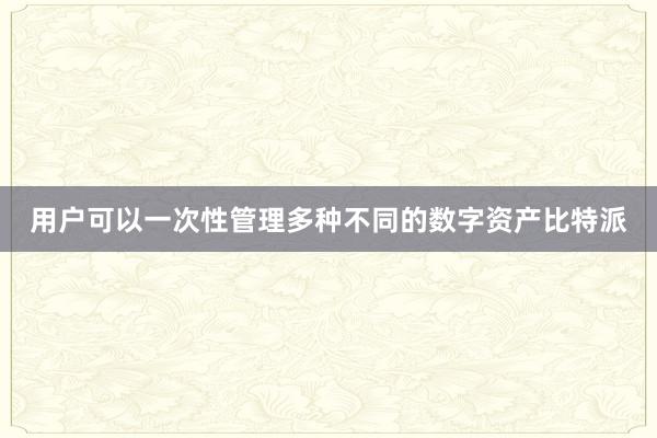 用户可以一次性管理多种不同的数字资产比特派