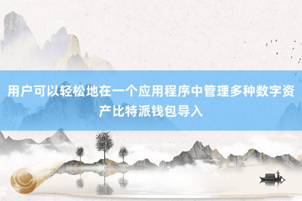 用户可以轻松地在一个应用程序中管理多种数字资产比特派钱包导入