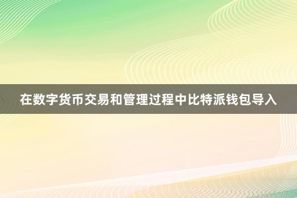 在数字货币交易和管理过程中比特派钱包导入