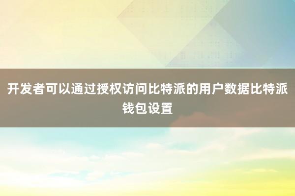 开发者可以通过授权访问比特派的用户数据比特派钱包设置