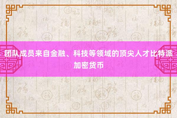 团队成员来自金融、科技等领域的顶尖人才比特派加密货币