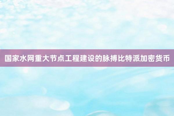 国家水网重大节点工程建设的脉搏比特派加密货币