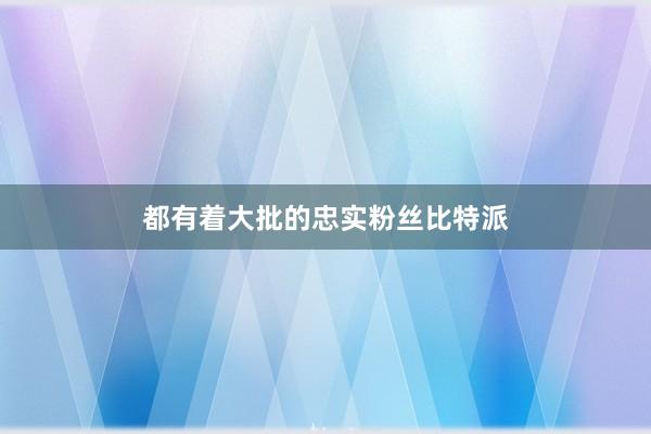 都有着大批的忠实粉丝比特派