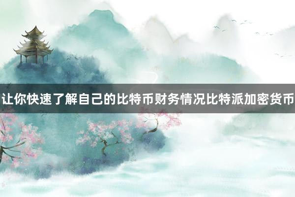 让你快速了解自己的比特币财务情况比特派加密货币