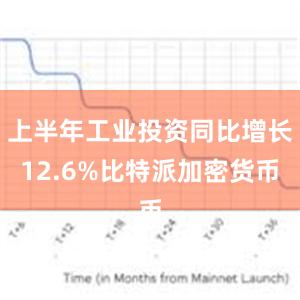 上半年工业投资同比增长12.6%比特派加密货币